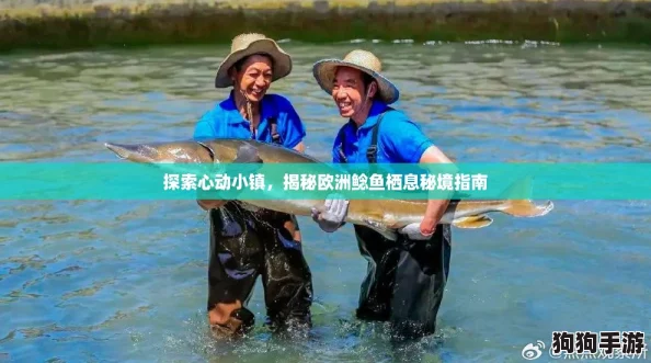 探索心动小镇，揭秘欧洲鲶鱼栖息秘境指南