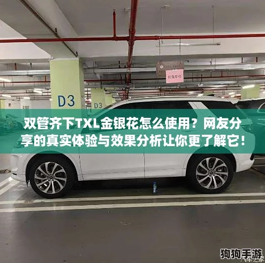 双管齐下TXL金银花怎么使用？网友分享的真实体验与效果分析让你更了解它！