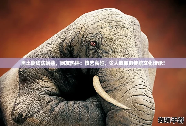 黑土腿脚法娴熟,网友热评:技艺高超,令人叹服的传统文化传承! 黑土腿脚法娴熟,网友热评:技艺高超,令人叹服的传统文化传承!