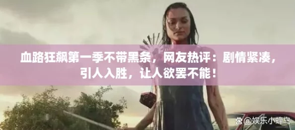 血路狂飙第一季不带黑条，网友热评：剧情紧凑，引人入胜，让人欲罢不能！