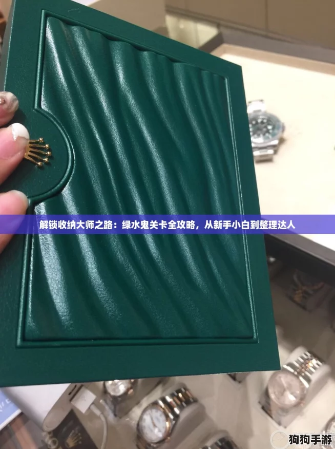 解锁收纳大师之路：绿水鬼关卡全攻略，从新手小白到整理达人