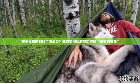 被小狼狗逆驯服了怎么办？教你如何优雅应对这场“爱情自救战”