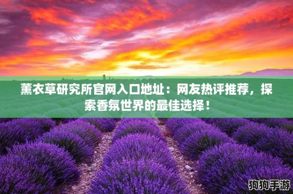 薰衣草研究所官网入口地址：网友热评推荐，探索香氛世界的最佳选择！