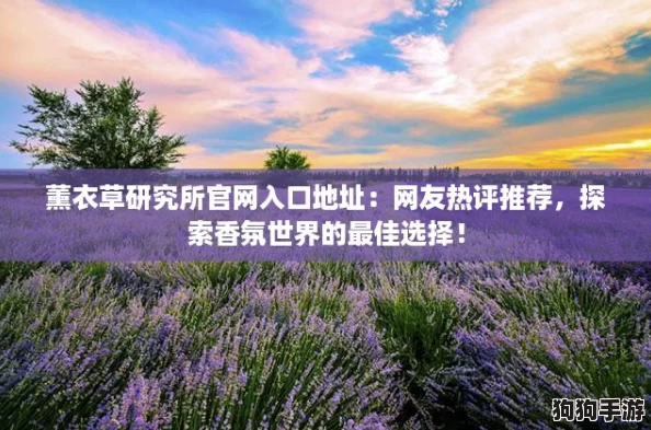 薰衣草研究所官网入口地址：网友热评推荐，探索香氛世界的最佳选择！