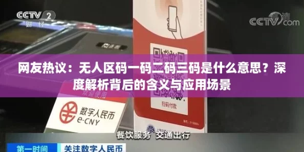 网友热议：无人区码一码二码三码是什么意思？深度解析背后的含义与应用场景