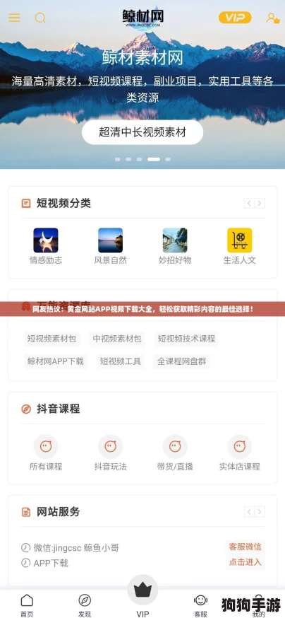 网友热议：黄金网站APP视频下载大全，轻松获取精彩内容的最佳选择！