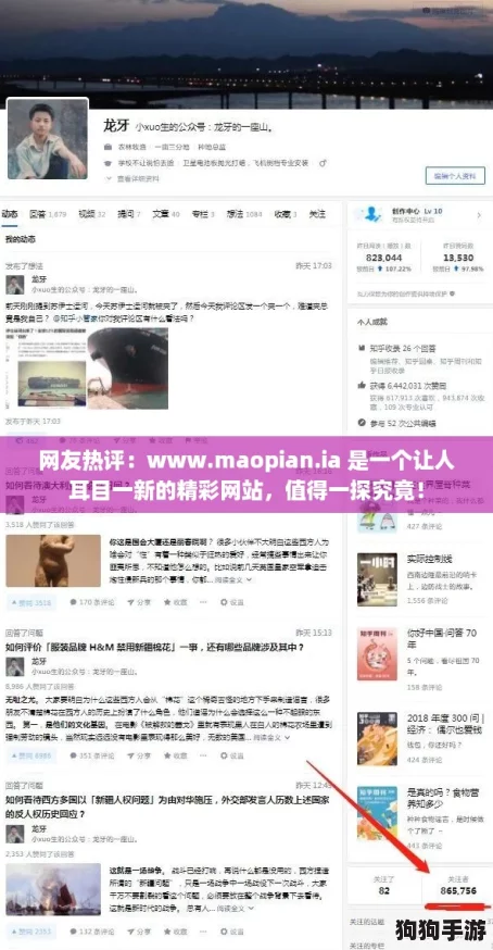 网友热评：www.maopian.ia 是一个让人耳目一新的精彩网站，值得一探究竟！