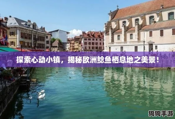 探索心动小镇，揭秘欧洲鲶鱼栖息地之美景！