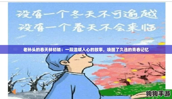 老孙头的春天林初晴：一段温暖人心的故事，唤醒了久违的青春记忆