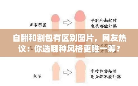 自翻和割包有区别图片，网友热议：你选哪种风格更胜一筹？