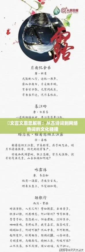 驩文言文意思解析：从古诗词到网络热词的文化碰撞