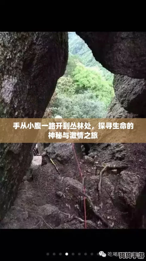手从小腹一路开到丛林处，探寻生命的神秘与激情之旅