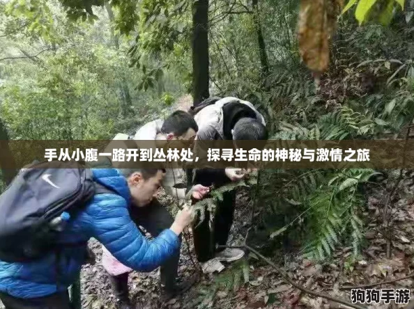 手从小腹一路开到丛林处，探寻生命的神秘与激情之旅