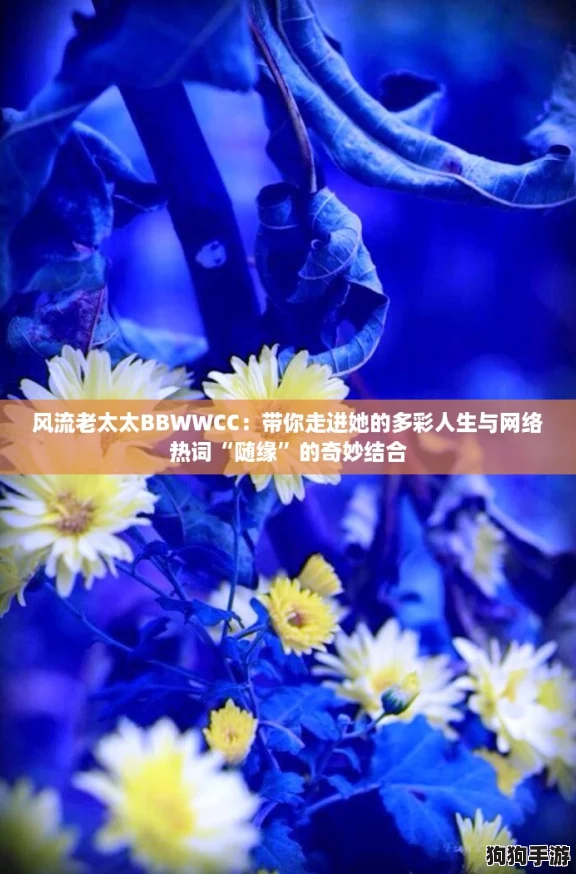 风流老太太BBWWCC：带你走进她的多彩人生与网络热词“随缘”的奇妙结合