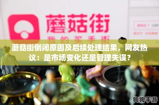 蘑菇街倒闭原因及后续处理结果，网友热议：是市场变化还是管理失误？