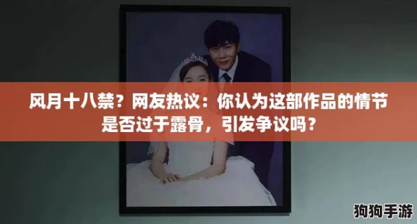 风月十八禁？网友热议：你认为这部作品的情节是否过于露骨，引发争议吗？