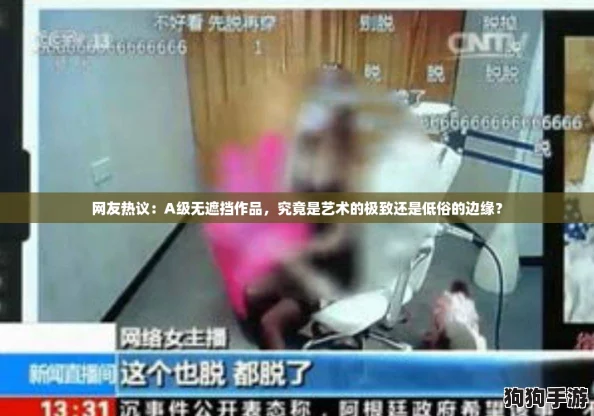 网友热议：A级无遮挡作品，究竟是艺术的极致还是低俗的边缘？