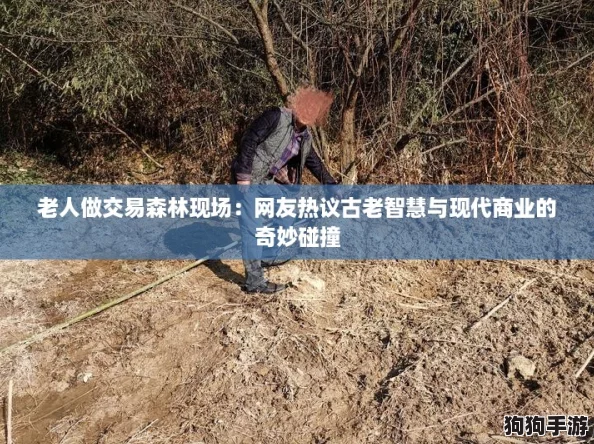 老人做交易森林现场：网友热议古老智慧与现代商业的奇妙碰撞