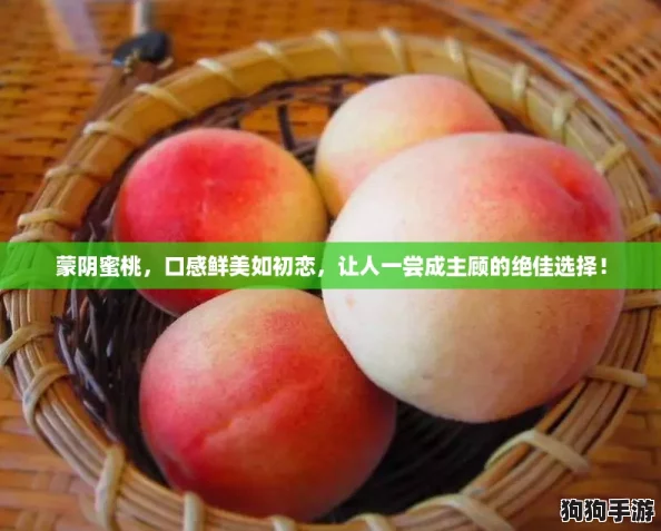蒙阴蜜桃，口感鲜美如初恋，让人一尝成主顾的绝佳选择！