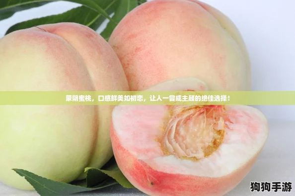 蒙阴蜜桃，口感鲜美如初恋，让人一尝成主顾的绝佳选择！