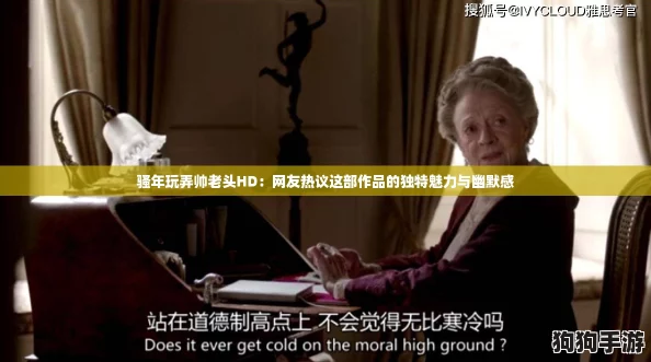 骚年玩弄帅老头HD：网友热议这部作品的独特魅力与幽默感