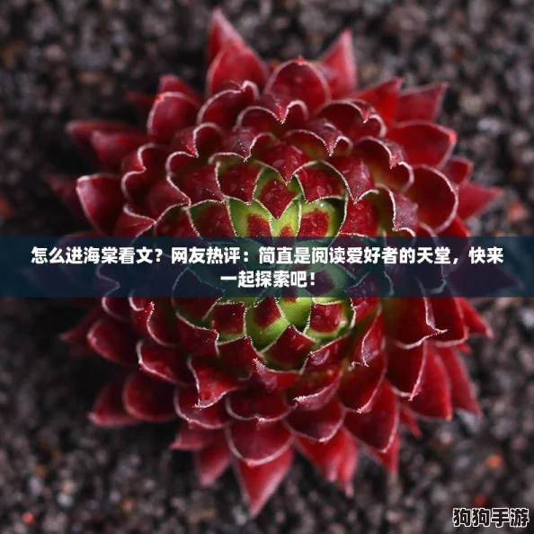 怎么进海棠看文?网友热评:简直是阅读爱好者的天堂,快来一起探索吧! 怎么进海棠看文?网友热评:简直是阅读爱好者的天堂,快来一起探索吧!