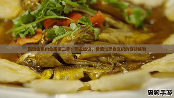 联谊会是肉食系第二季：网友热议，情感与美食交织的奇妙体验