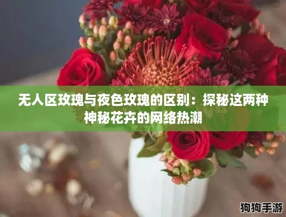 无人区玫瑰与夜色玫瑰的区别:探秘这两种神秘花卉的网络热潮 无人区玫瑰与夜色玫瑰的区别:探秘这两种神秘花卉的网络热潮