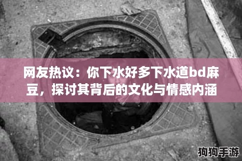 网友热议:你下水好多下水道bd麻豆,探讨其背后的文化与情感内涵 网友热议:你下水好多下水道bd麻豆,探讨其背后的文化与情感内涵