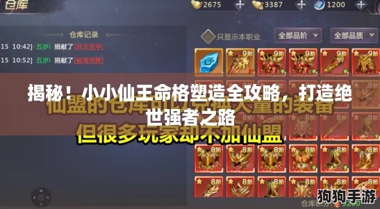 揭秘！小小仙王命格塑造全攻略，打造绝世强者之路
