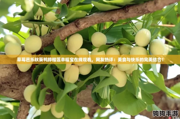 草莓芭乐秋葵鸭脖榴莲幸福宝在线观看，网友热评：美食与快乐的完美结合！