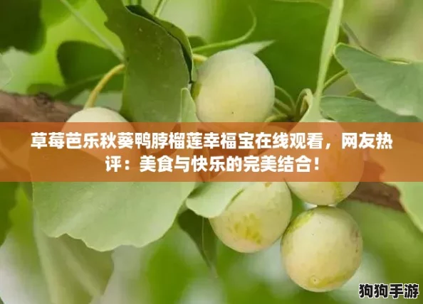 草莓芭乐秋葵鸭脖榴莲幸福宝在线观看，网友热评：美食与快乐的完美结合！