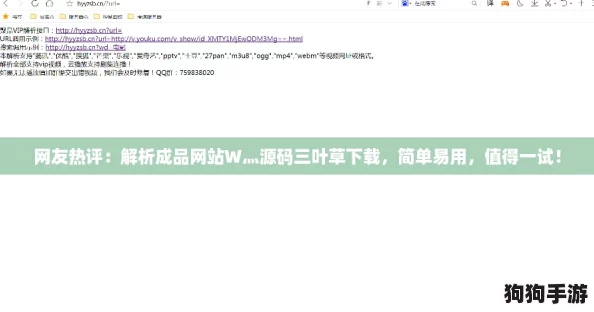 网友热评：解析成品网站W灬源码三叶草下载，简单易用，值得一试！
