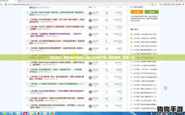 网友热评：解析成品网站W灬源码三叶草下载，简单易用，值得一试！