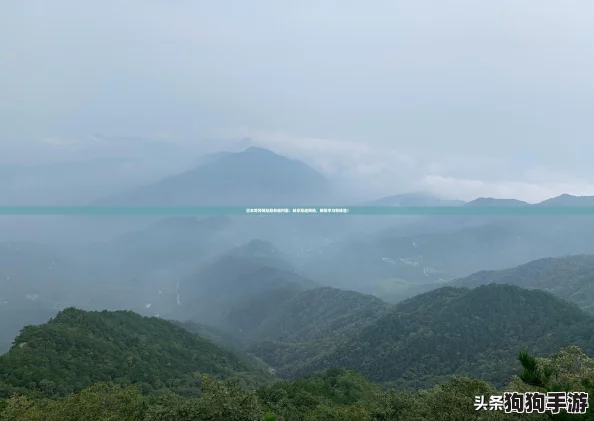 日本黄冈网站服务器列表：畅享高速网络，解锁学习新体验！