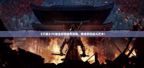 《只狼》PC版全按键操作指南，精准掌控战斗艺术！