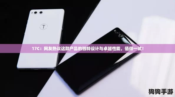 17C：网友热议这款产品的独特设计与卓越性能，值得一试！