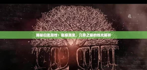 揭秘归龙潮烛：胤痕质变，几命之秘的烛光解析