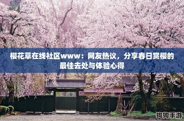 樱花草在线社区www：网友热议，分享春日赏樱的最佳去处与体验心得