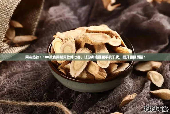 网友热议:100款夜间禁用软件七客,让你彻底摆脱手机干扰,提升睡眠质量! 网友热议:100款夜间禁用软件七客,让你彻底摆脱手机干扰,提升睡眠质量!