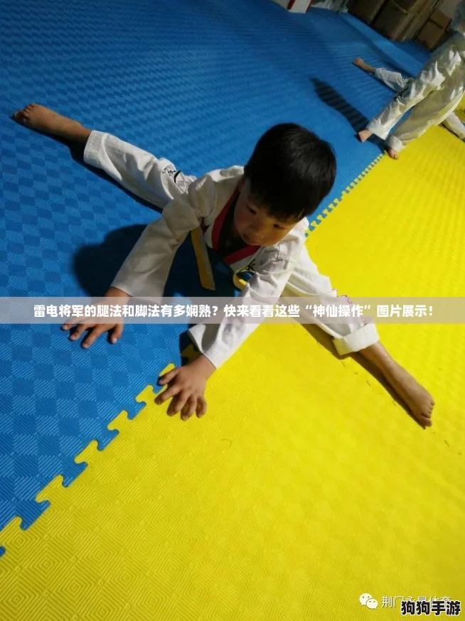 雷电将军的腿法和脚法有多娴熟？快来看看这些“神仙操作”图片展示！