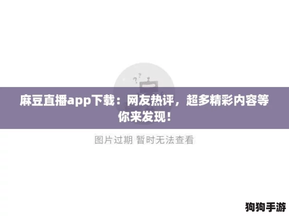 麻豆直播app下载：网友热评，超多精彩内容等你来发现！
