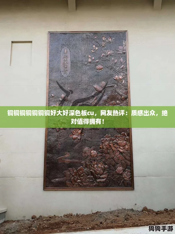 铜铜铜铜铜铜铜好大好深色板cu，网友热评：质感出众，绝对值得拥有！