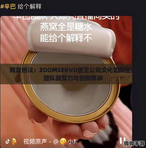 网友热议：ZOOMSERVO兽王公司文化如何塑造团队凝聚力与创新精神