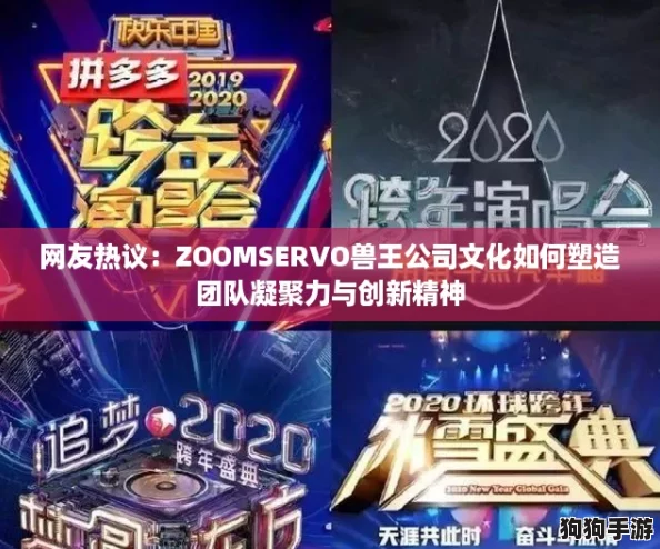 网友热议：ZOOMSERVO兽王公司文化如何塑造团队凝聚力与创新精神