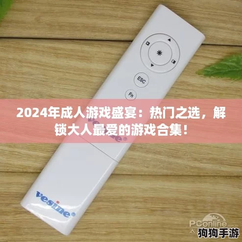 2024年成人游戏盛宴：热门之选，解锁大人最爱的游戏合集！
