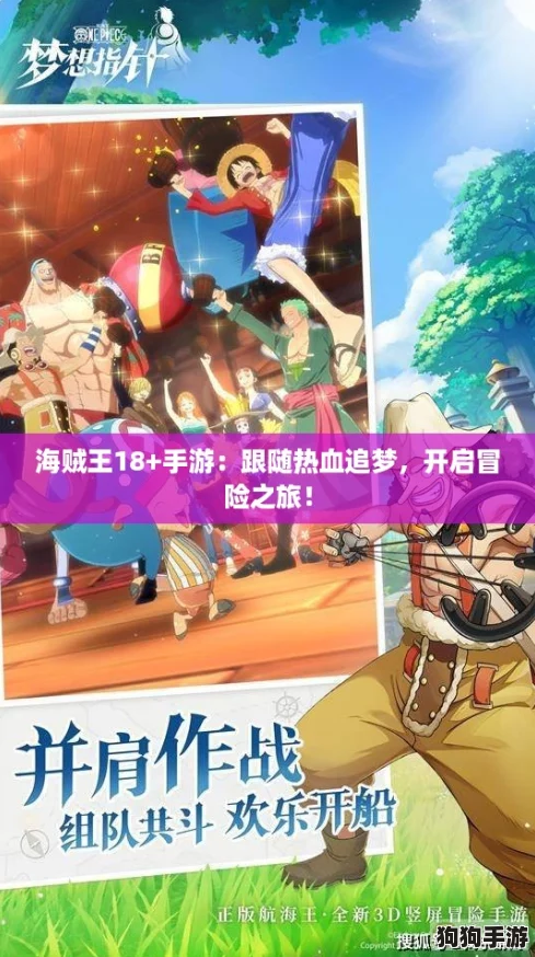 海贼王18+手游：跟随热血追梦，开启冒险之旅！