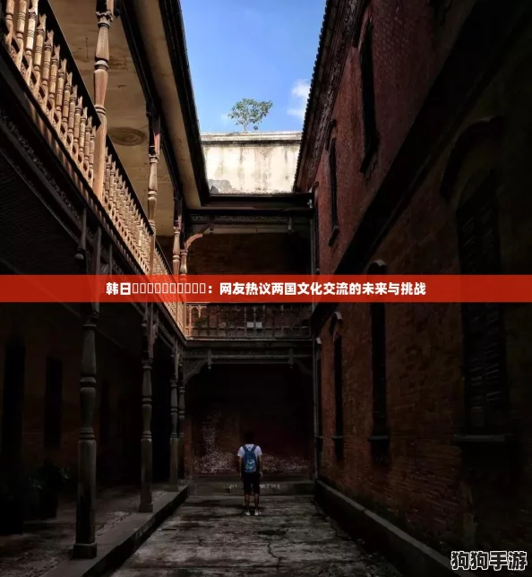 韩日乄乄乄乄乄乄乄乄乄乄：网友热议两国文化交流的未来与挑战