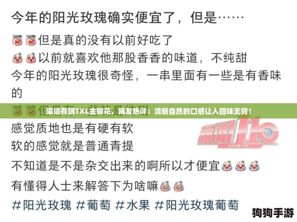 隔墙有眼TXL金银花，网友热评：清新自然的口感让人回味无穷！