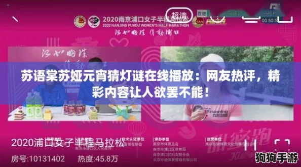 苏语棠苏娅元宵猜灯谜在线播放：网友热评，精彩内容让人欲罢不能！